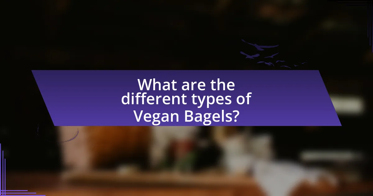 What are the different types of Vegan Bagels?